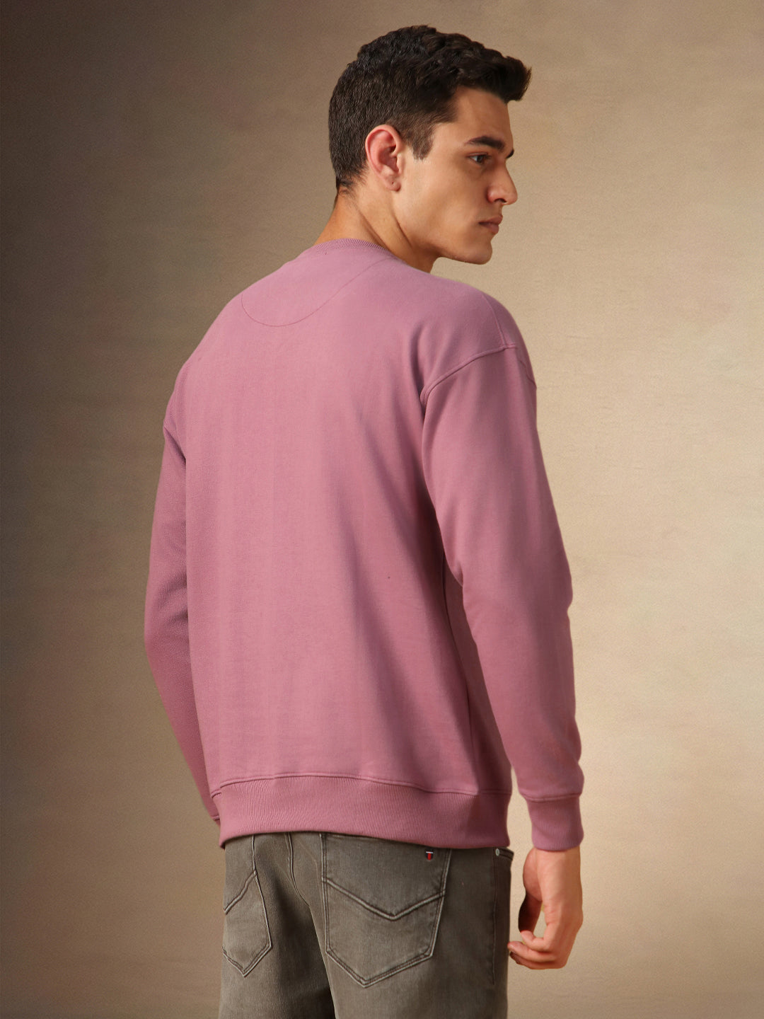 Men's Dusty Pink Solid Crew Neck Full Sleeves Sweatshirt