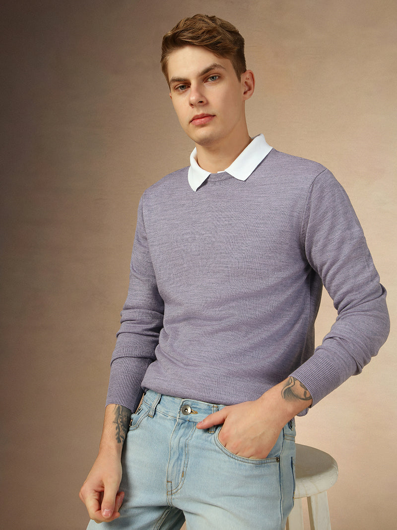 Men's Lavender Crew Neck Full Sleeves Slim Fit Pullover Sweater