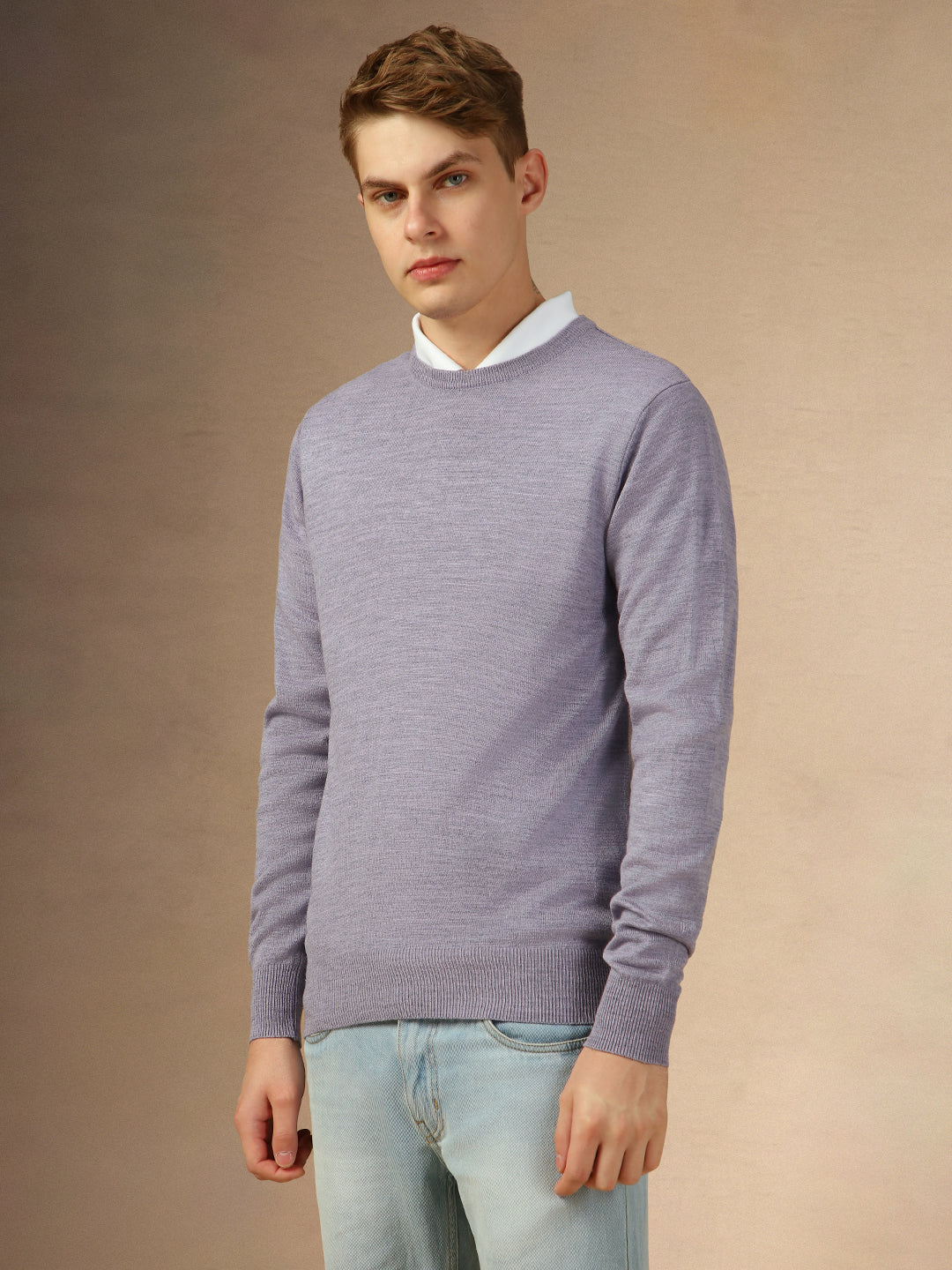 Men's Lavender Crew Neck Full Sleeves Slim Fit Pullover Sweater