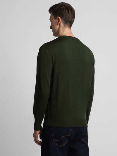 Men's Olive Solid Acrylic Pullover sweater