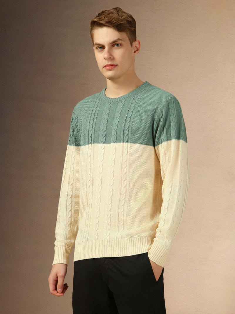 Men's Sage Green Crew Neck Full Sleeves Slim Fit Pullover Sweater