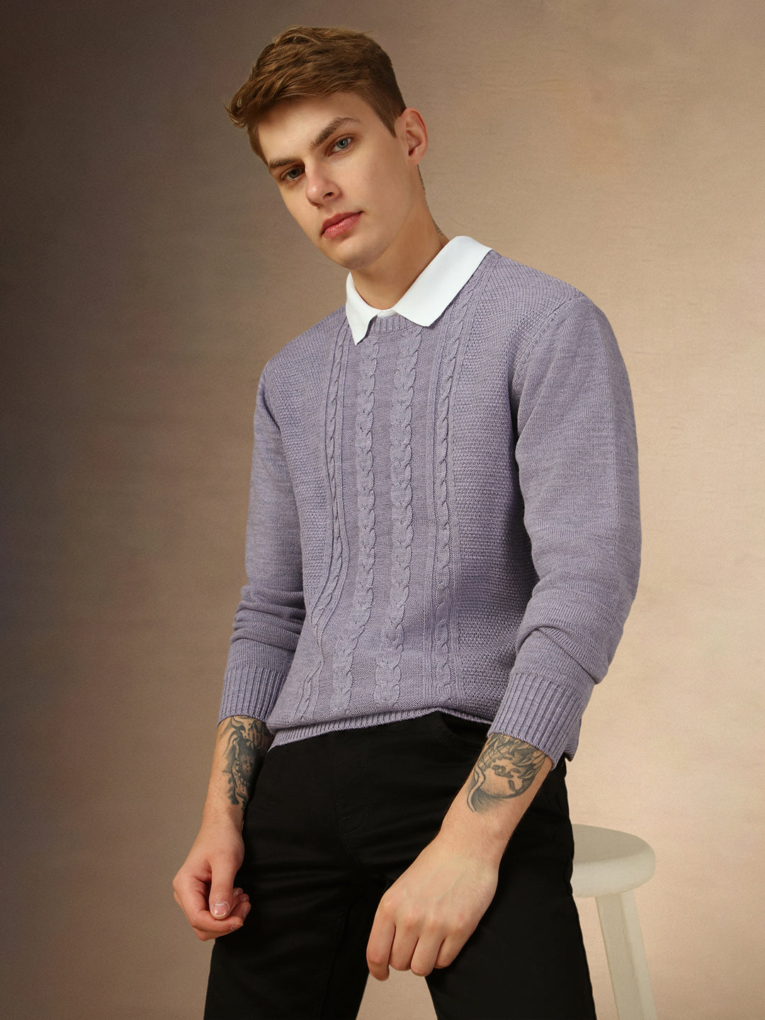 Men's Lavender Crew Neck Full Sleeves Slim Fit Pullover Sweater