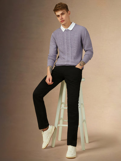 Men's Lavender Crew Neck Full Sleeves Slim Fit Pullover Sweater