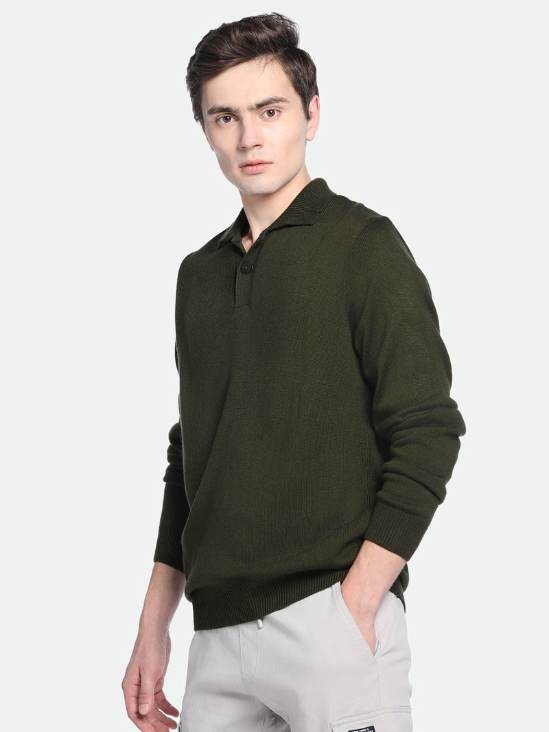 Men's Collar Regular Fit Solid Olive Sweater