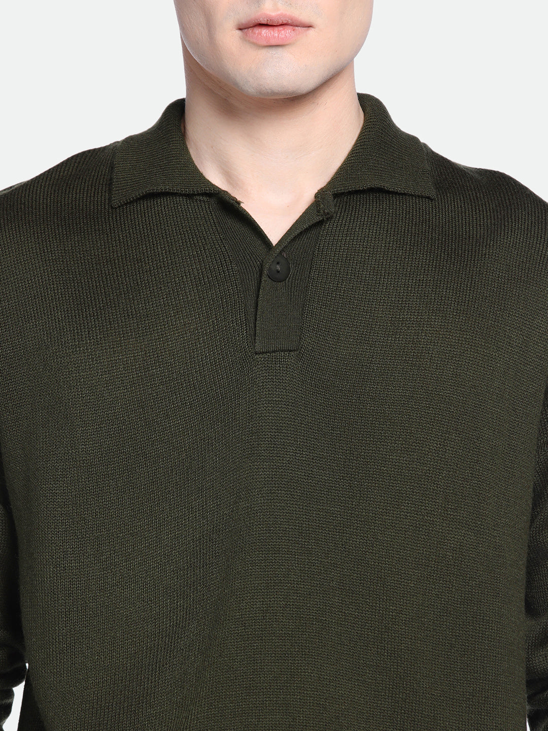 Men's Collar Regular Fit Solid Olive Sweater