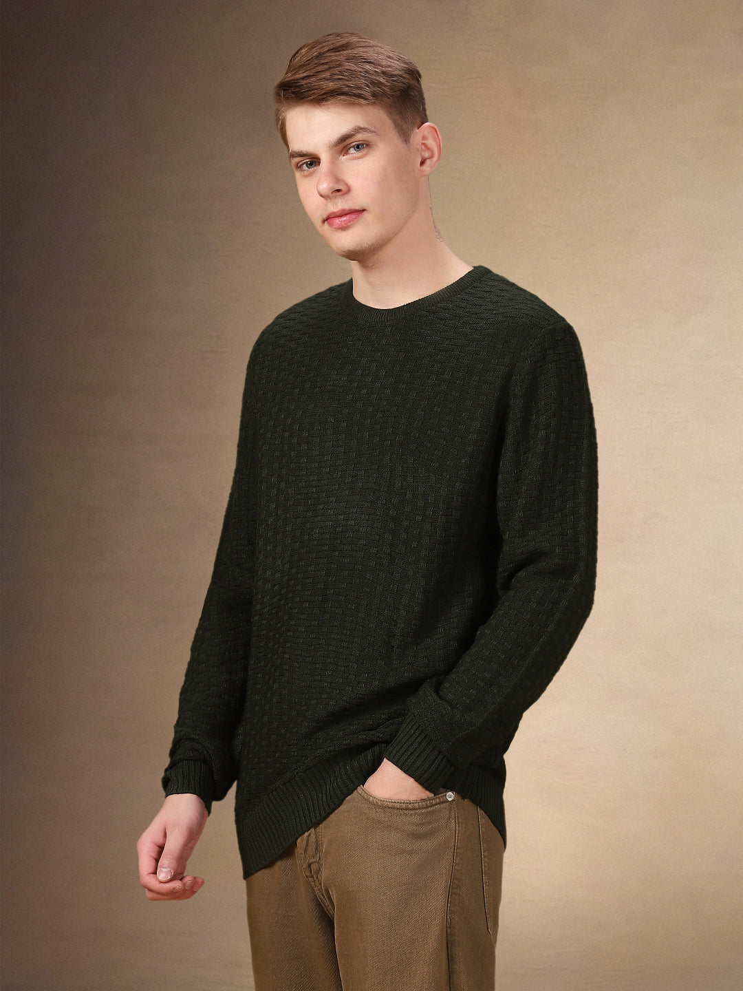 Men's Solid Round Neck Full Sleeves Regular Fit Pullover Sweater