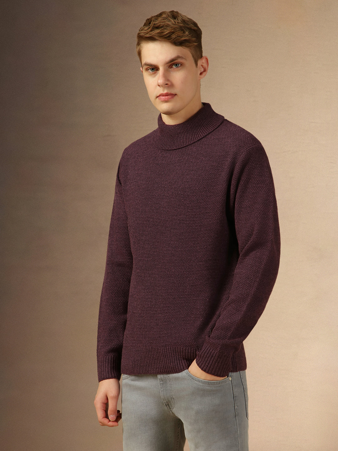 Men's Plum Turtle Neck Full Sleeves Slim Fit Pullover Sweater