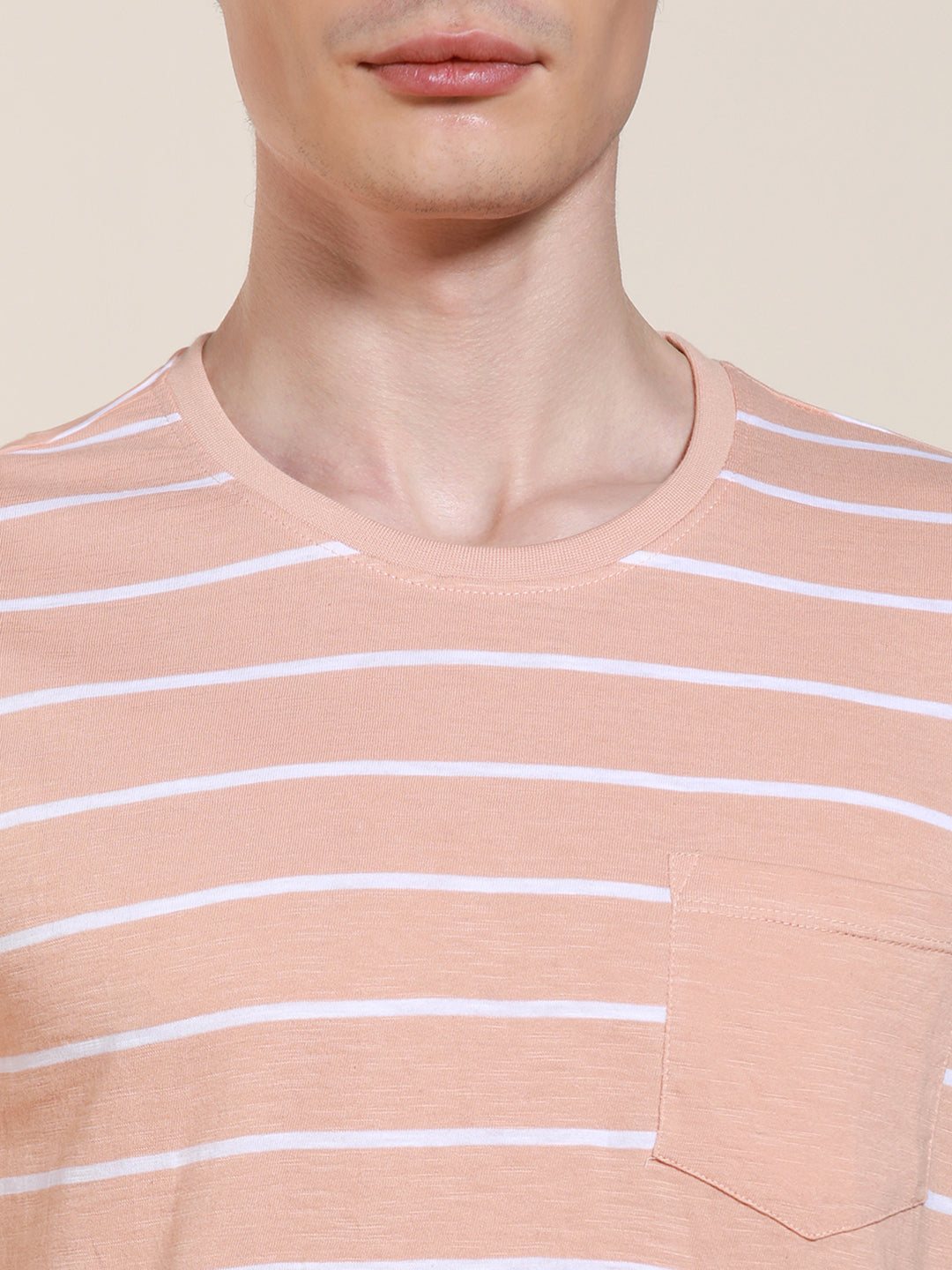 Men's Round Neck Striped Half Sleeves Casual T-shirt