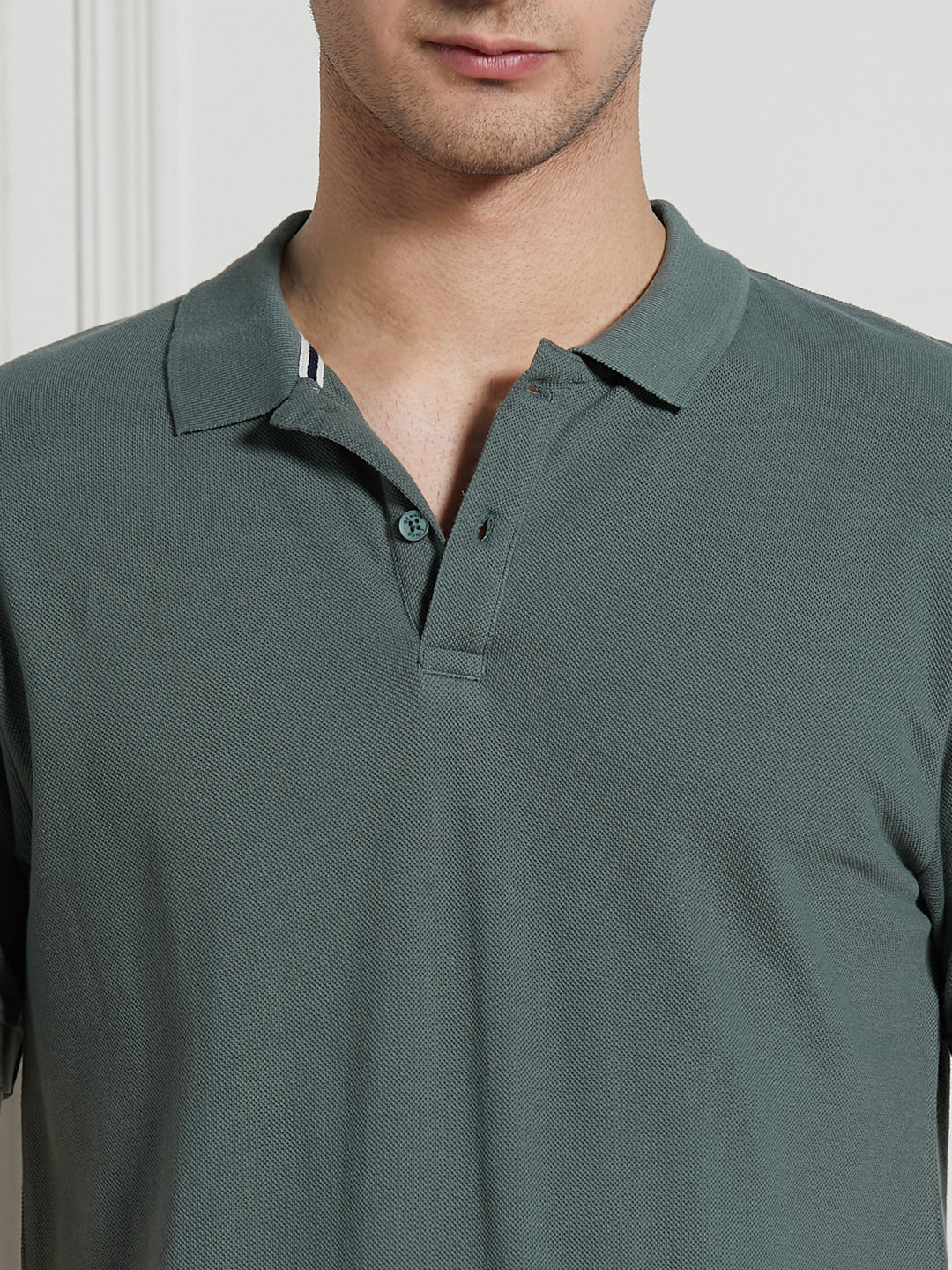 Dennis Lingo Men Sage green Cotton Regular Fit Polo T-Shirt