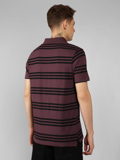 Men's Wine Striped Polo Collar Half sleeve Regular fit T-Shirt