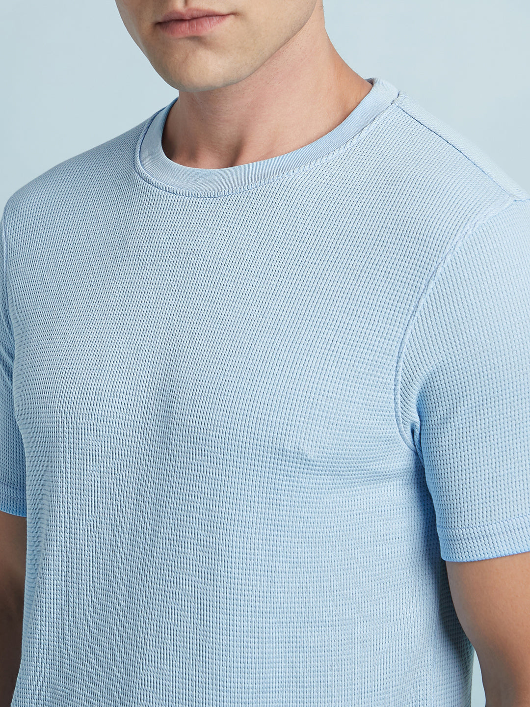 Men Sky Blue Solid Textured Round Neck Half Sleeves Regular Fit T-Shirt