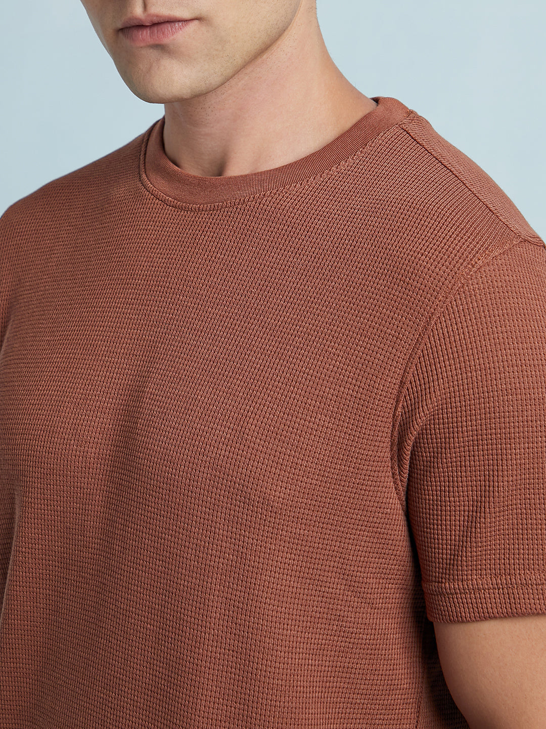 Men Rust Solid Textured Round Neck Half Sleeves Regular Fit T-Shirt