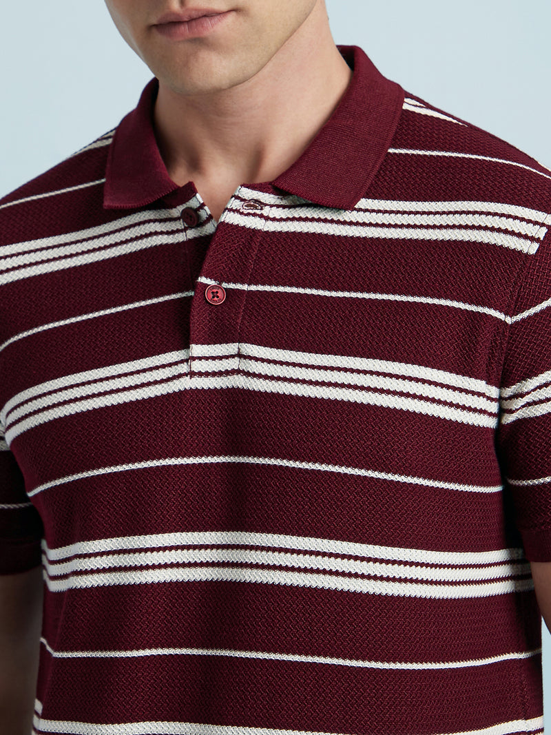 Men Maroon Textured Stripes Polo Collar Half Sleeves Regular Fit T-Shirt