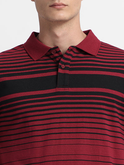 Men's Spread Collar Regular Fit Y/D Stripes Maroon T-shirt