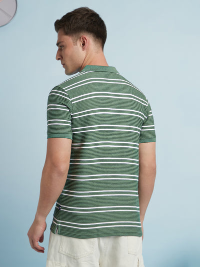 Men Sage Green textured Striped Polo Collar Half Sleeves T-shirt