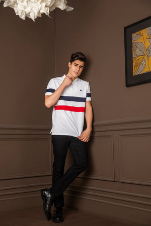 Dennis Lingo Men's Casual Slim Fit Polo Neck T-Shirt Stylish Half Sleeves Color Block Pure Cotton Polos